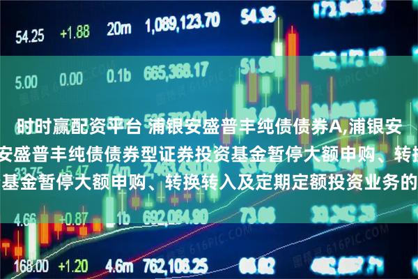 时时赢配资平台 浦银安盛普丰纯债债券A,浦银安盛普丰纯债债券C: 浦银安盛普丰纯债债券型证券投资基金暂停大额申购、转换转入及定期定额投资业务的公告